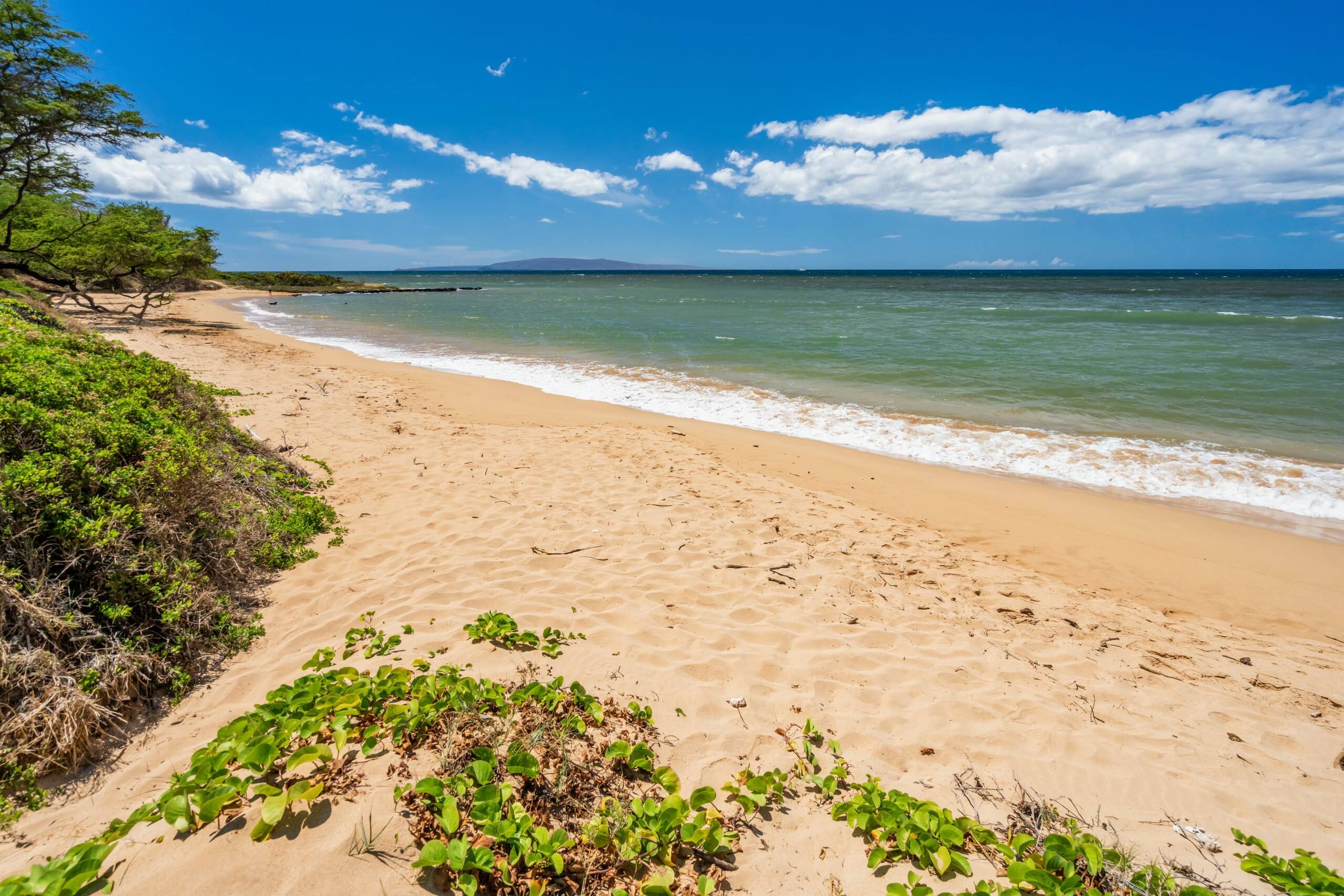 Condo in Kihei · ★4.93 · 1 bedroom · 2 beds · 1 bath - Image 15