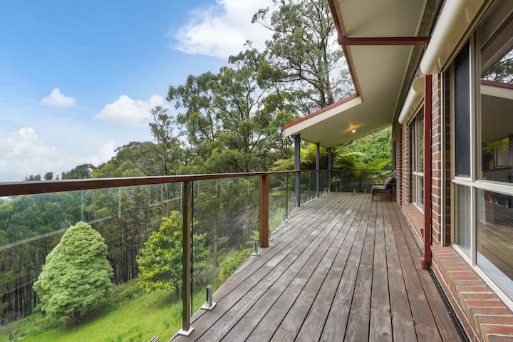 Embrace Nature’s Beauty in Ferny Creek