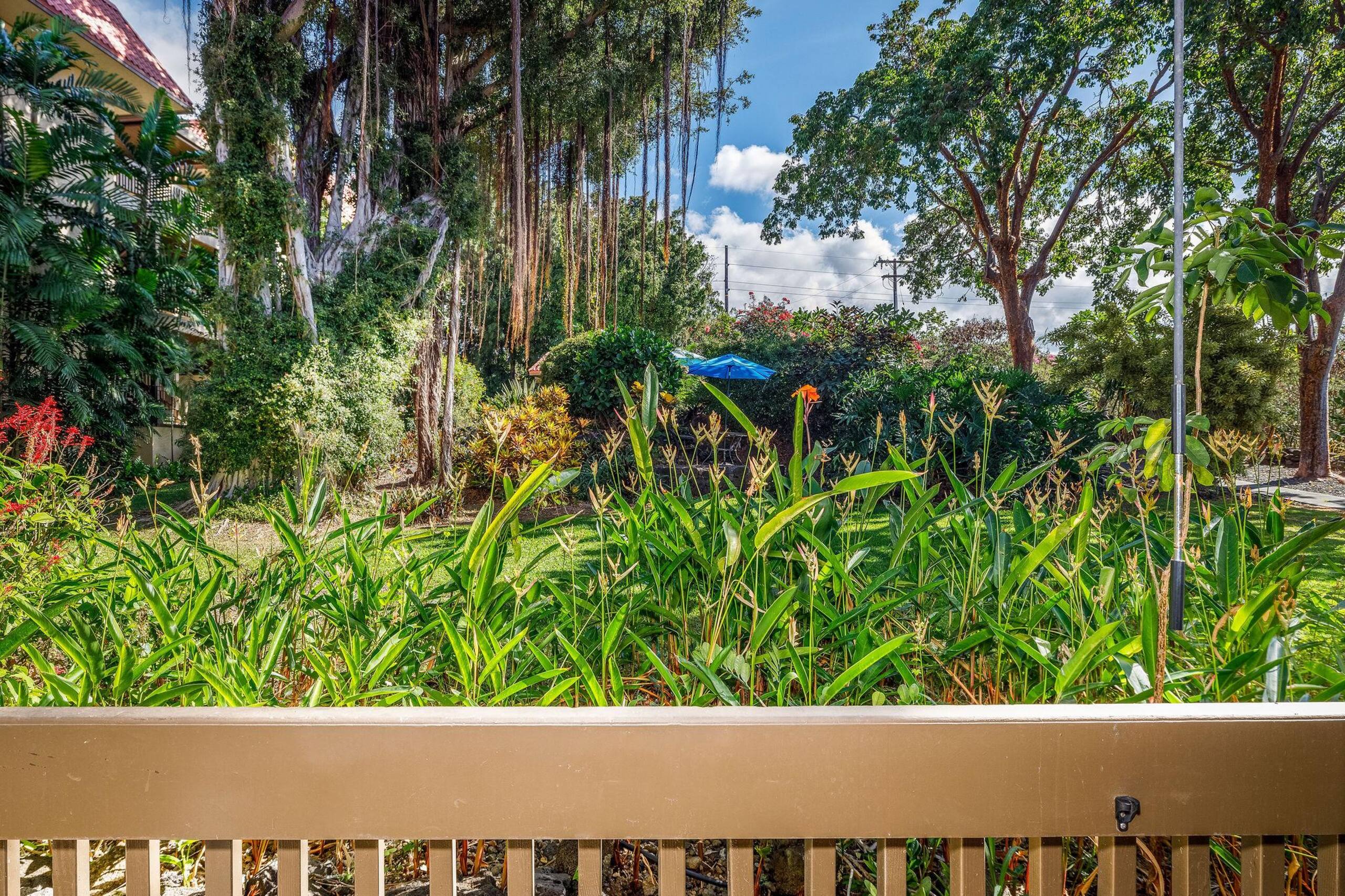 Condo in Kailua-Kona · ★5.0 · 2 bedrooms · 3 beds · 2 private baths - Image 29