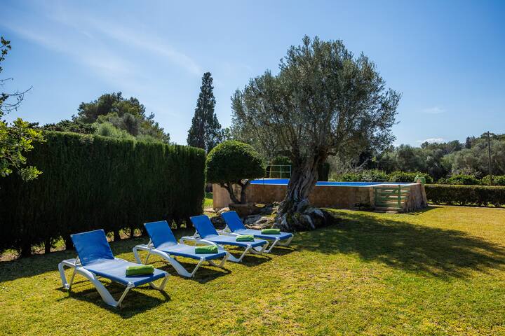 Can Pamboli gallery image 5