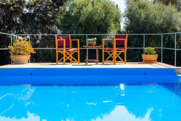 Can Pamboli gallery image 4