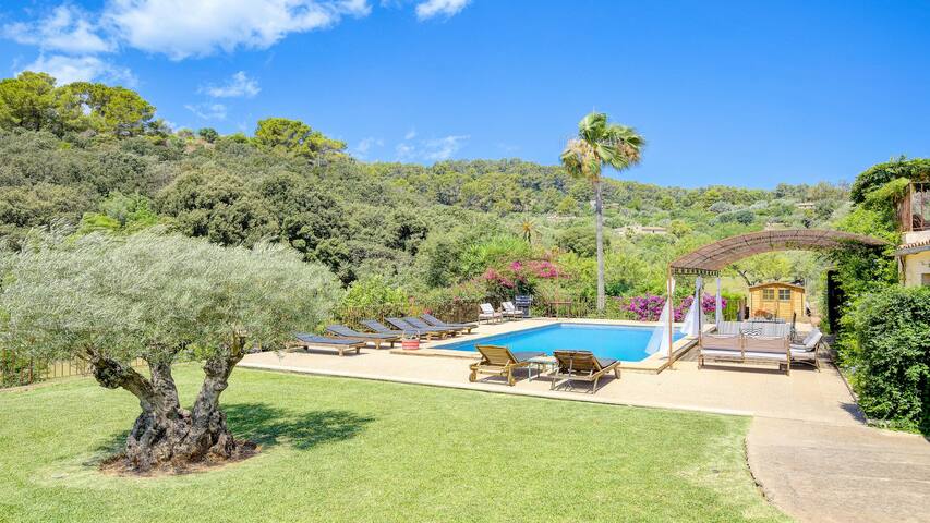 Fantastic Family Villa, easy walking distance to P gallery image 3