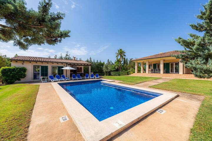 La Vinya del Beato 1950 gallery image 3