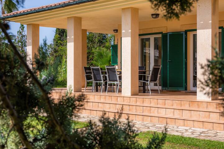 La Vinya del Beato 1950 gallery image 4