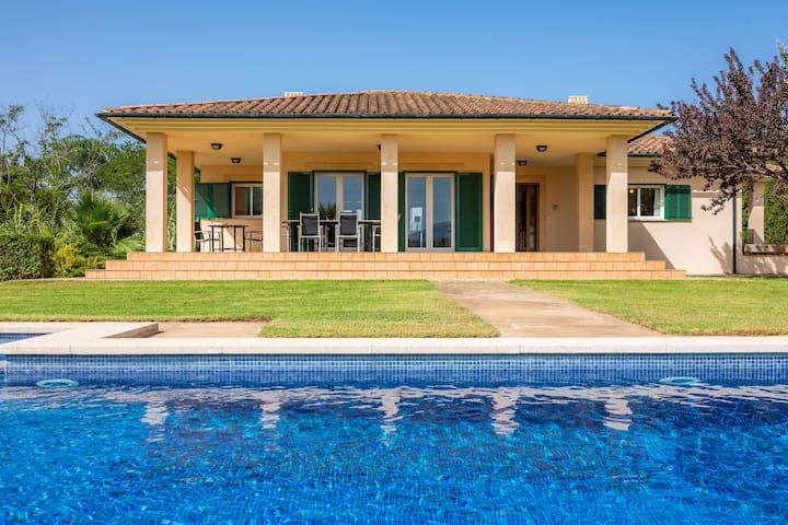 La Vinya del Beato 1950