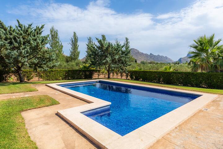 La Vinya del Beato 1950 gallery image 2