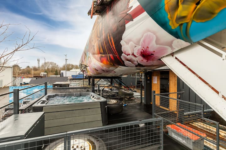 Boeing Airliner Private Jet with hot tub and sauna gallery image 5