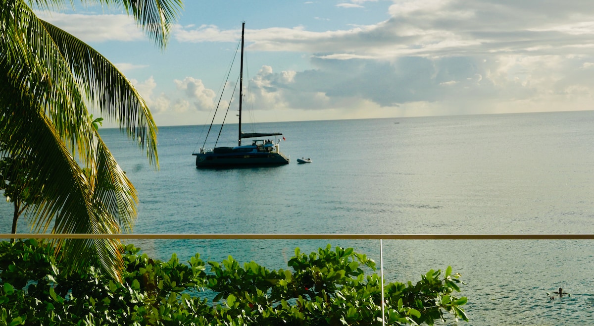 A calm sea scene is depicted, featuring a sailboat anchored in the distance. Lush green foliage frames the view, while gentle waves lap against the shore, creating a serene coastal atmosphere. The sky holds soft clouds, indicating a pleasant day by the water.