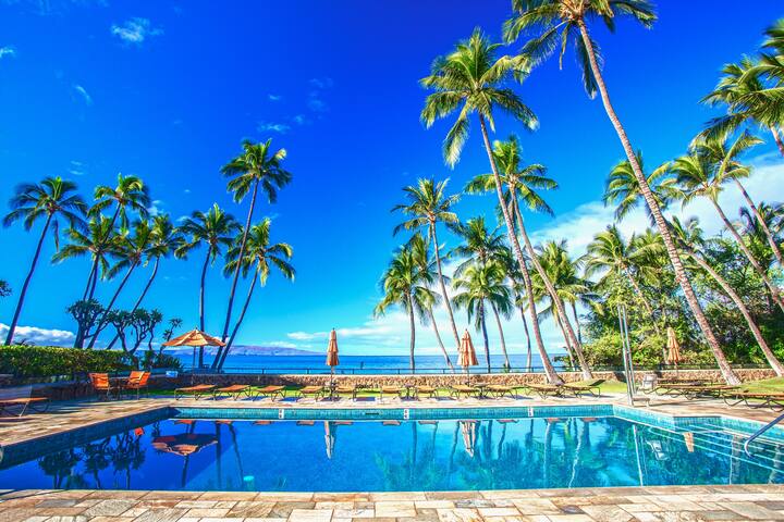 Ocean Views! Remodeled Redecorated Pretty & Modern gallery image 3