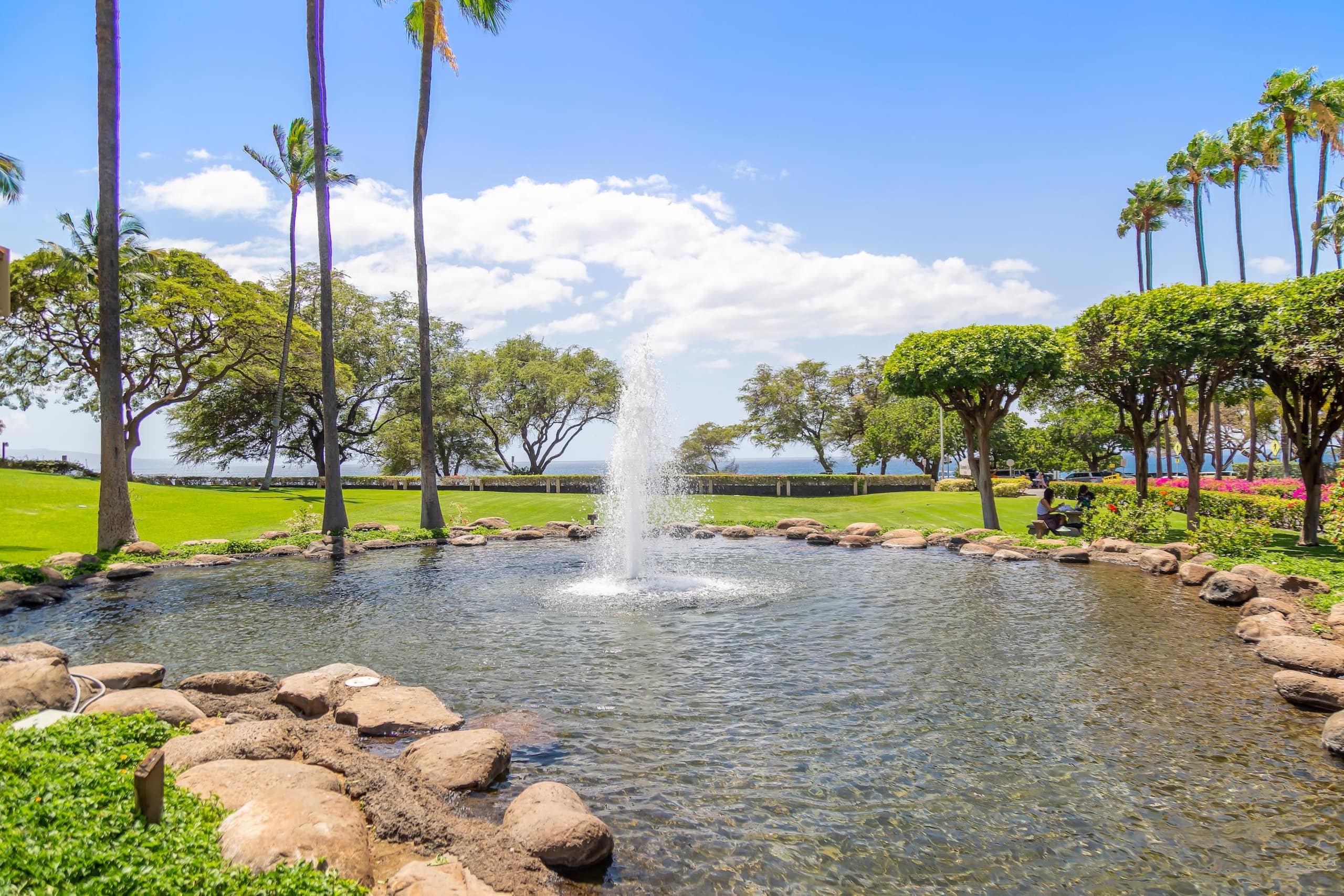 Condo in Kihei · ★4.99 · 1 bedroom · 1 bed · 2 private baths - Image 51