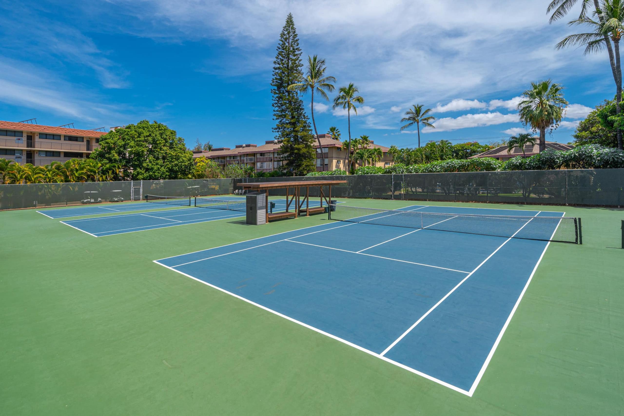 Condo in Kihei · ★4.99 · 1 bedroom · 1 bed · 2 private baths - Image 70