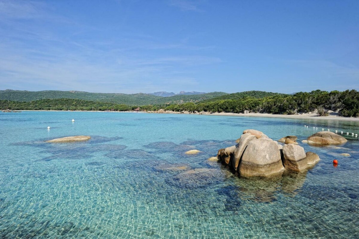 A serene coastal view presents clear, turquoise waters gently lapping against smooth, irregularly shaped rocks. Lush green vegetation borders the shoreline, while a distant mountain range adds depth to the picturesque landscape. The scene is bathed in natural sunlight, enhancing the tranquil atmosphere.