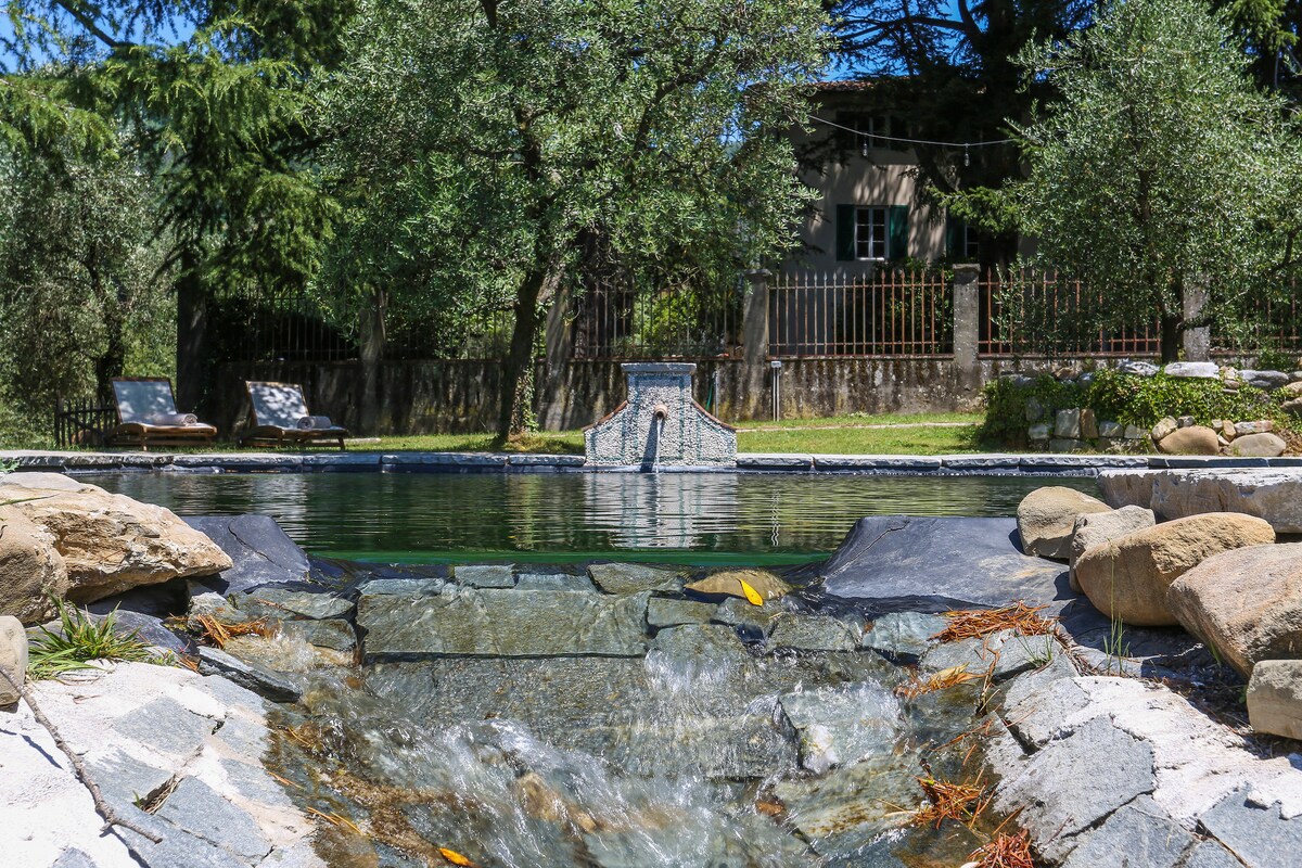 A serene swimming pool is framed by natural stone edges, with gentle ripples in the water reflecting the surrounding olive trees. Sun loungers are positioned nearby, inviting relaxation amidst the tranquil landscape. A small fountain adds a soothing element to the scene.