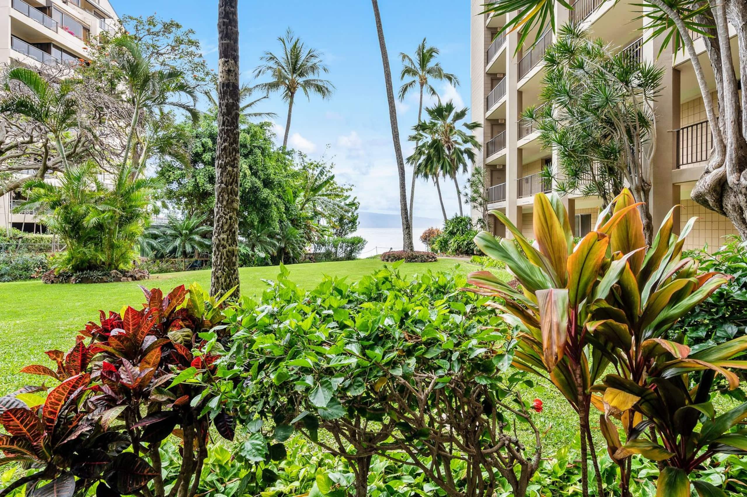Condo in Lahaina · ★4.66 · 2 bedrooms · 4 beds · 2 baths - Image 9