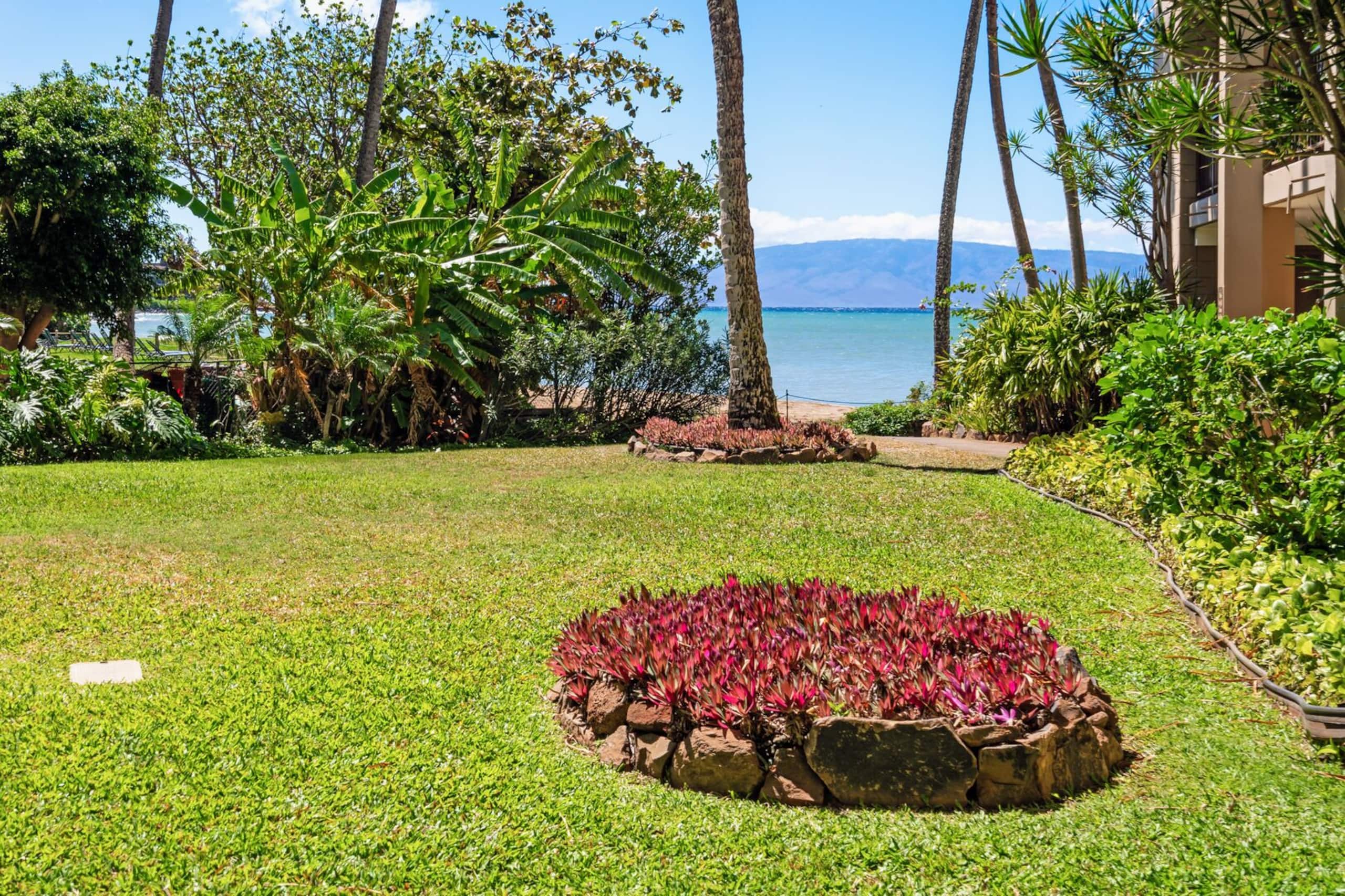 Condo in Lahaina · ★4.66 · 2 bedrooms · 4 beds · 2 baths - Image 39