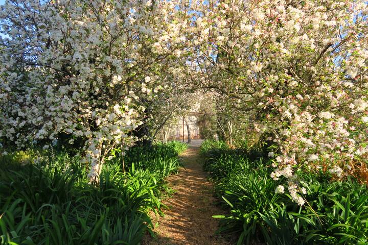 La Maritja Pollensa with beautiful garden and pool gallery image 3