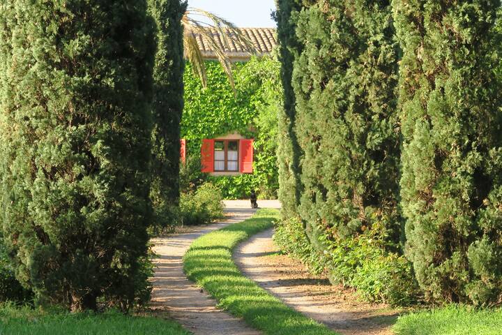 La Maritja Pollensa with beautiful garden and pool gallery image 2