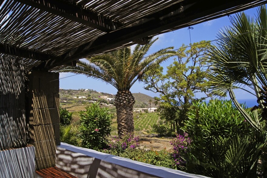 A covered terrace provides a view of lush greenery, including a tall palm tree and surrounding vibrant plants. The landscape showcases terraced fields and distant hills under a clear blue sky, creating a serene outdoor space perfect for relaxation.