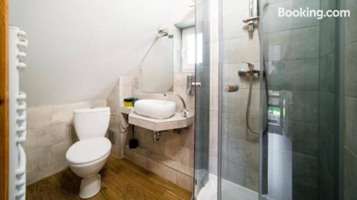 A modern bathroom features a white toilet and a wall-mounted sink with a compact mirror above it. The glass shower enclosure reveals a sleek showerhead and a handheld faucet. Light-colored tiles create an open feel, complemented by warm wooden flooring.