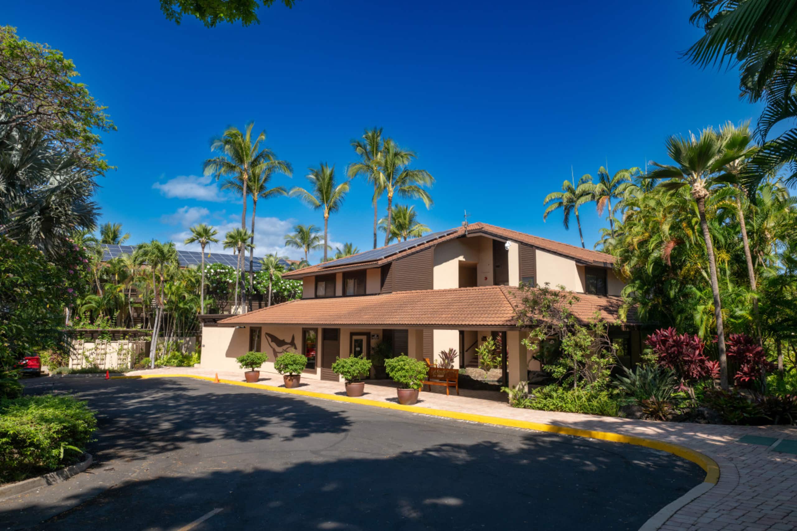 Condo in Kihei · ★4.9 · 2 bedrooms · 3 beds · 2 baths - Image 49