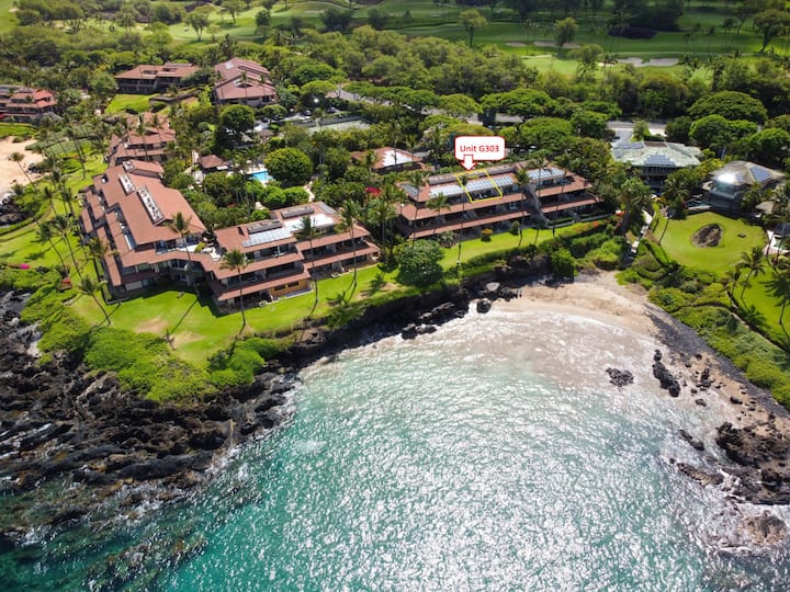 マレーテナガコガネ ペア Makena Surf: Maui on the Beach - Condominiums for Rent in Kihei