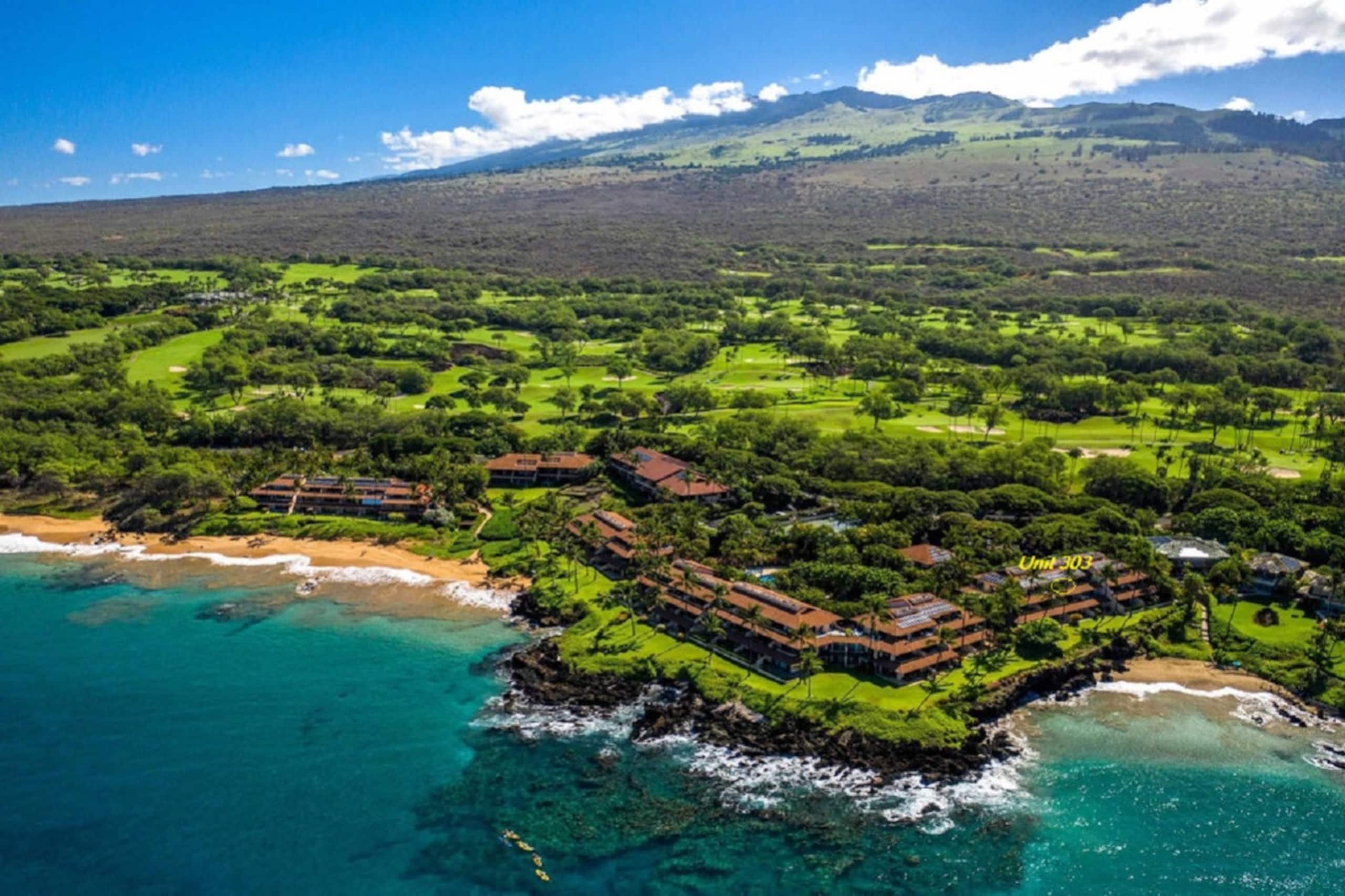 Condo in Kihei · ★4.9 · 2 bedrooms · 3 beds · 2 baths - Image 18