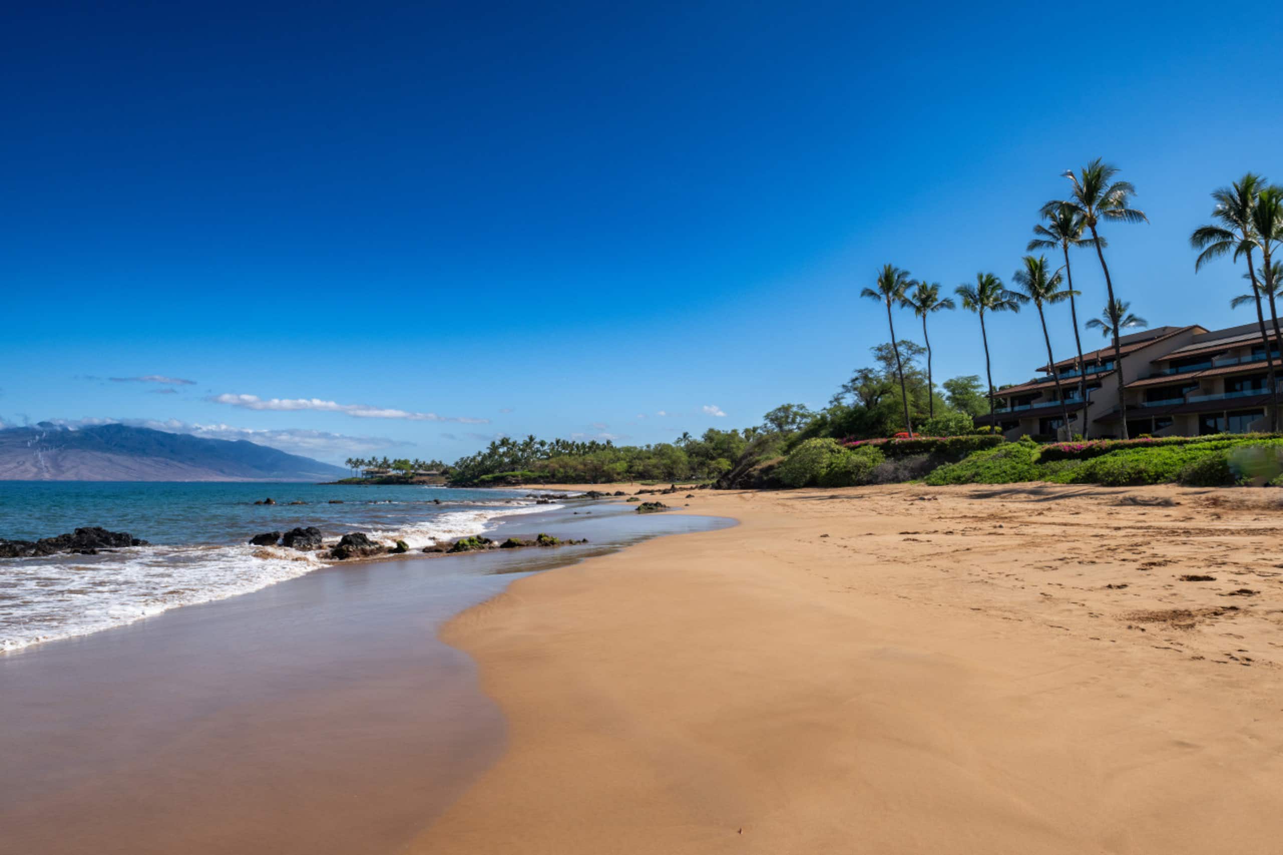 Condo in Kihei · ★4.9 · 2 bedrooms · 3 beds · 2 baths - Image 43