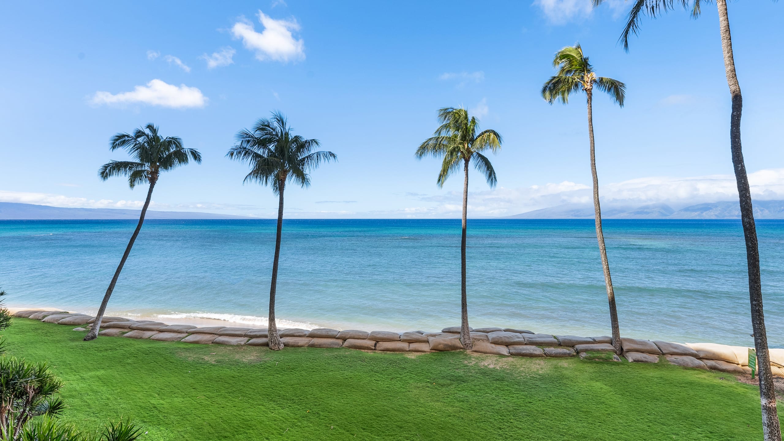 Condo in Lahaina · ★4.8 · 1 bedroom · 2 beds · 1 bath - Image 37