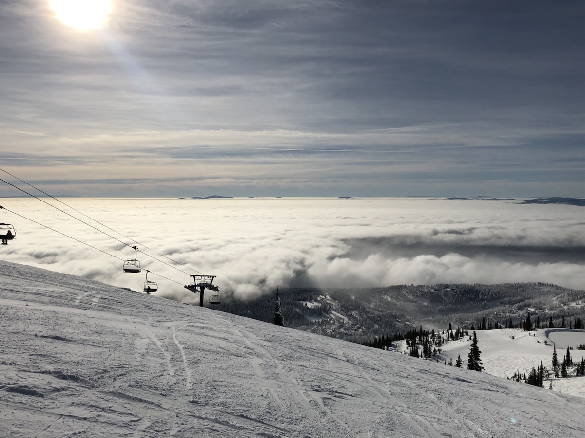 A winter landscape captures a panoramic view from a ski slope, showcasing a sea of clouds beneath a sunlit sky. Ski lifts are visible on the left, while undulating snowy terrain extends into the distance, offering a sense of tranquility and openness.