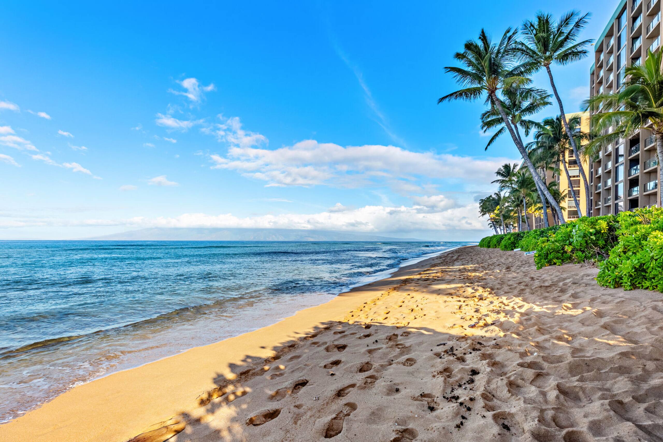 Condo in Lahaina · ★4.88 · 1 bedroom · 2 beds · 1 private bath - Image 40