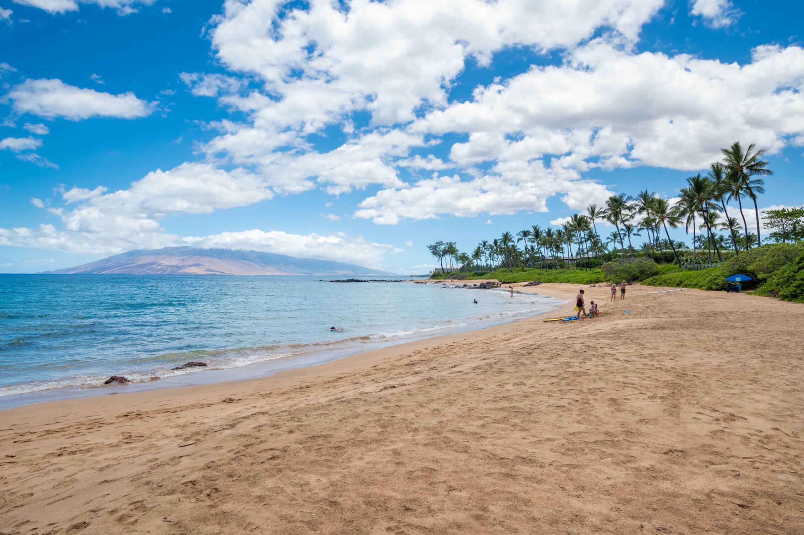 Condo in Kihei · ★4.33 · 2 bedrooms · 3 beds · 2 private baths - Image 37