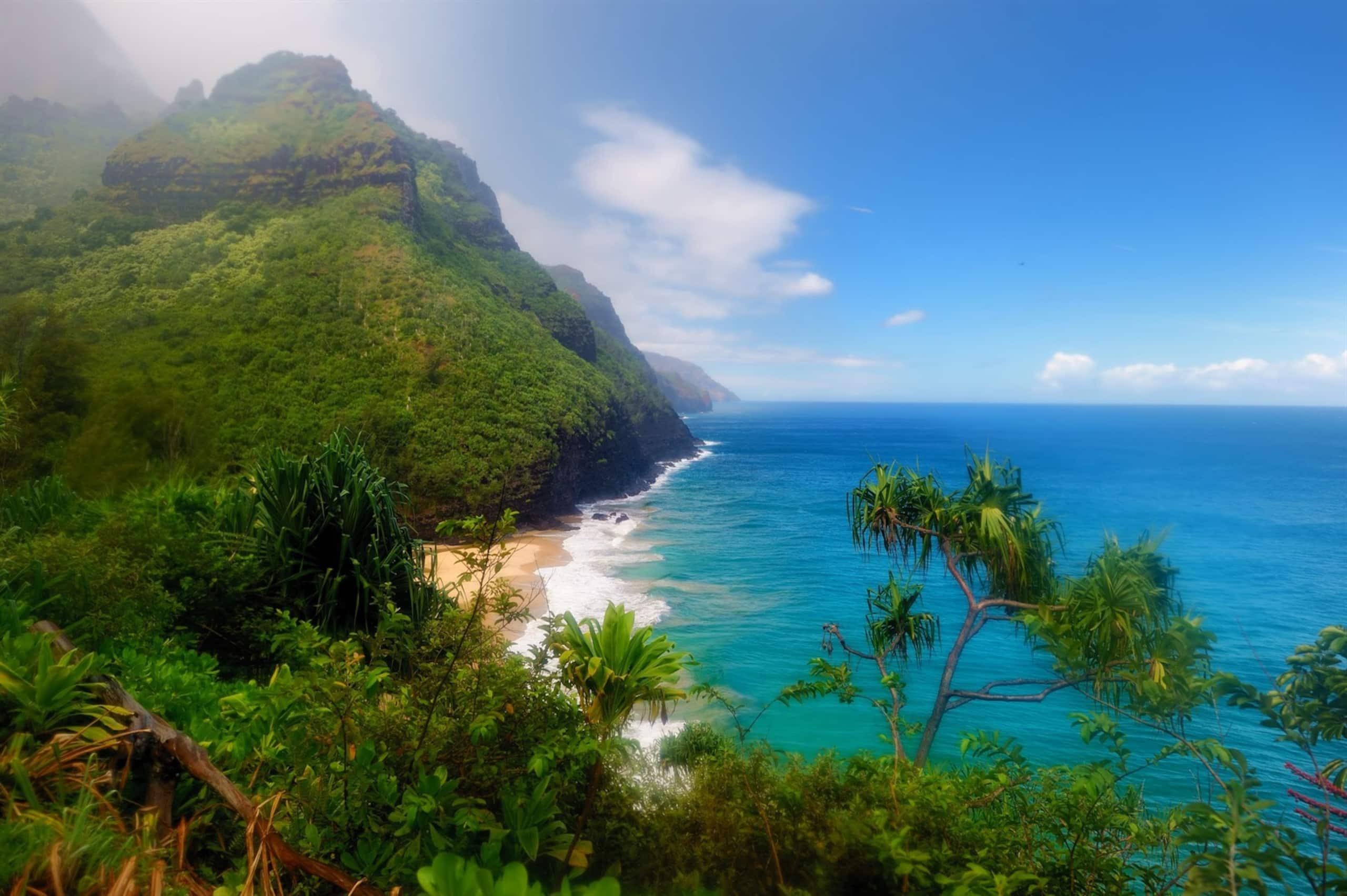 Home in Princeville · ★4.96 · 4 bedrooms · 5 beds · 3.5 private baths - Image 35