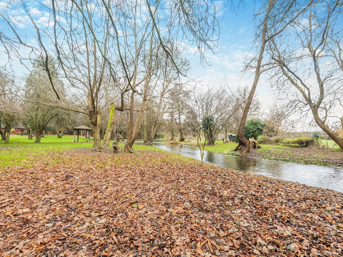 A serene landscape features a gentle stream flowing through a grassy area, surrounded by trees that reflect the changing seasons. A carpet of fallen leaves covers the ground, blending earthy tones with green. Natural light filters through the branches, creating a tranquil atmosphere.