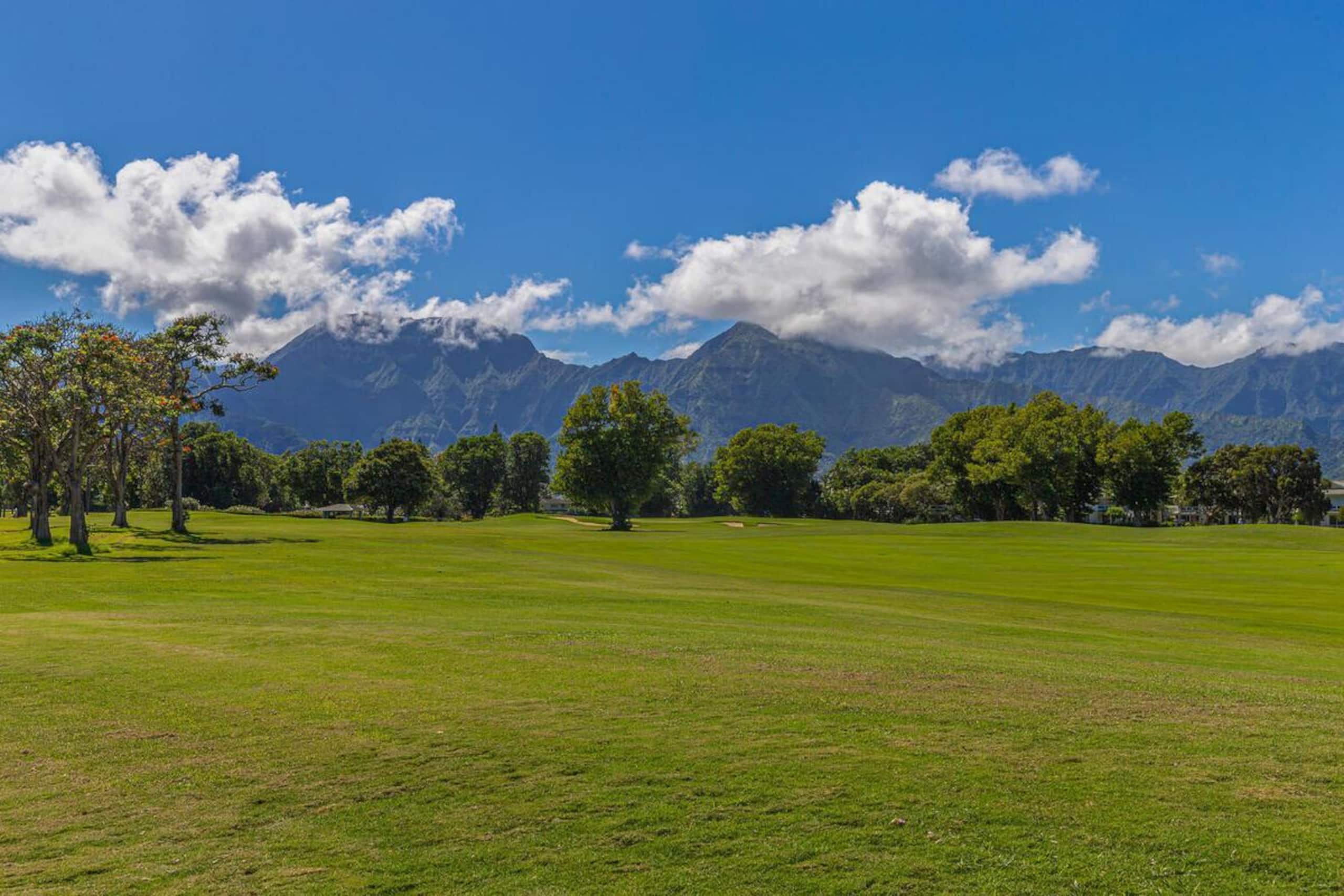 Home in Princeville · ★5.0 · 5 bedrooms · 5 beds · 5 shared baths - Image 25