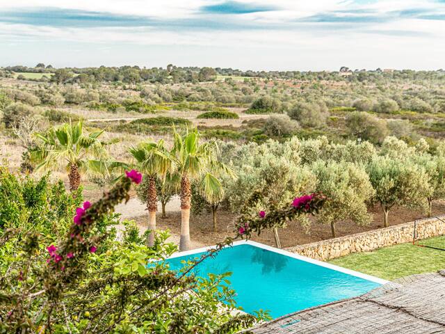 Villa Salamandra with pool for 10 people, Santanyi gallery image 3