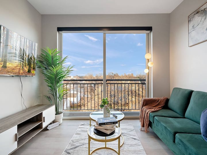Dt, Umn, 1bd, Gym, Free Parking, Rooftop By River - Marais poitevin