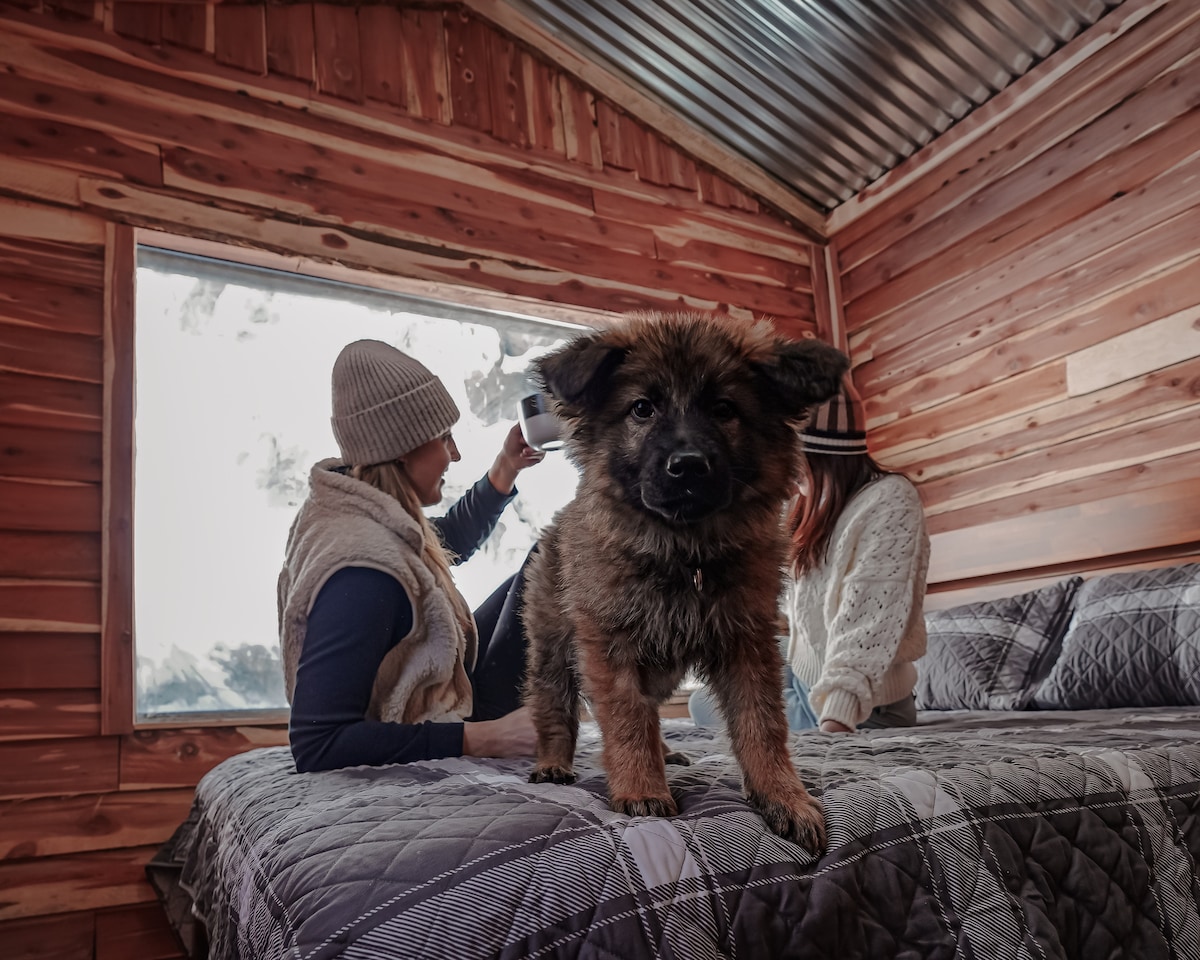 A cozy cabin interior is depicted with rustic wood walls and a spacious bed covered in a patterned blanket. A playful puppy stands prominently in the foreground, while two people are seen in the background, one seated and the other brushing their hair at a window.
