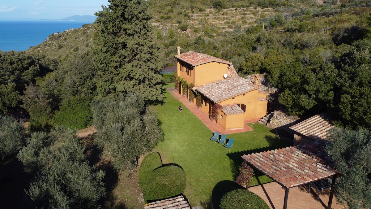 An aerial view of a villa is captured, surrounded by lush greenery and hills, with the sea visible in the background. The property features a manicured lawn and lounge chairs. The terracotta-colored structure has a tiled roof and is framed by scenic landscaping.