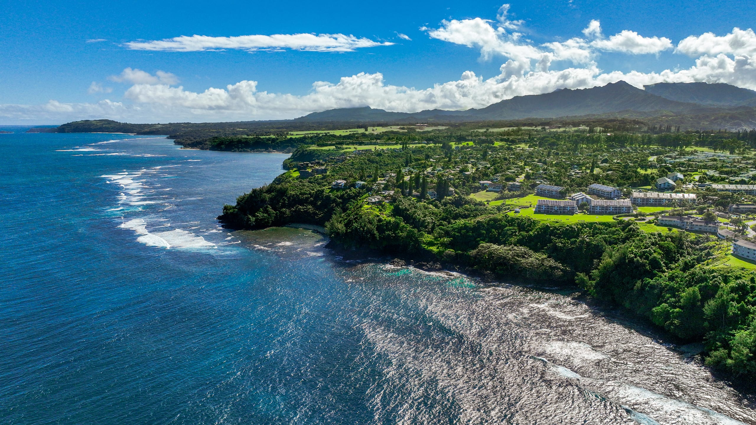 Condo in Princeville · ★4.88 · 2 bedrooms · 2 beds · 2 baths - Image 41
