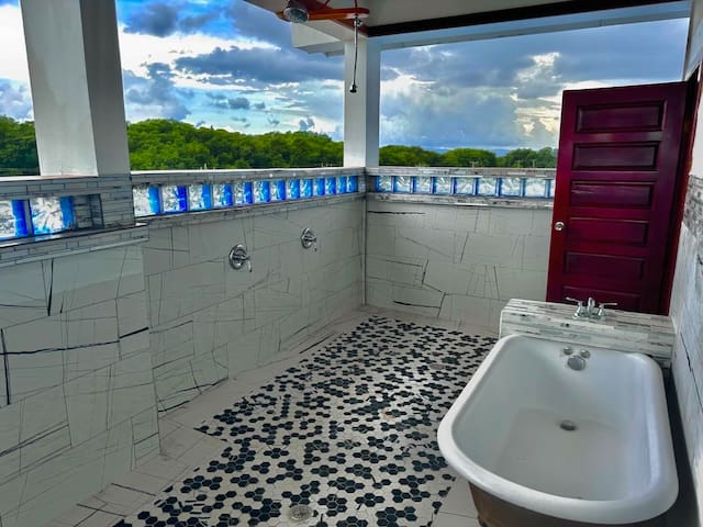 The Coastal Lion gallery image 2