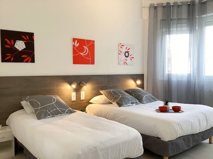 Appart 95m2 Clim, Parking, Proche Sanctuaire - Lourdes