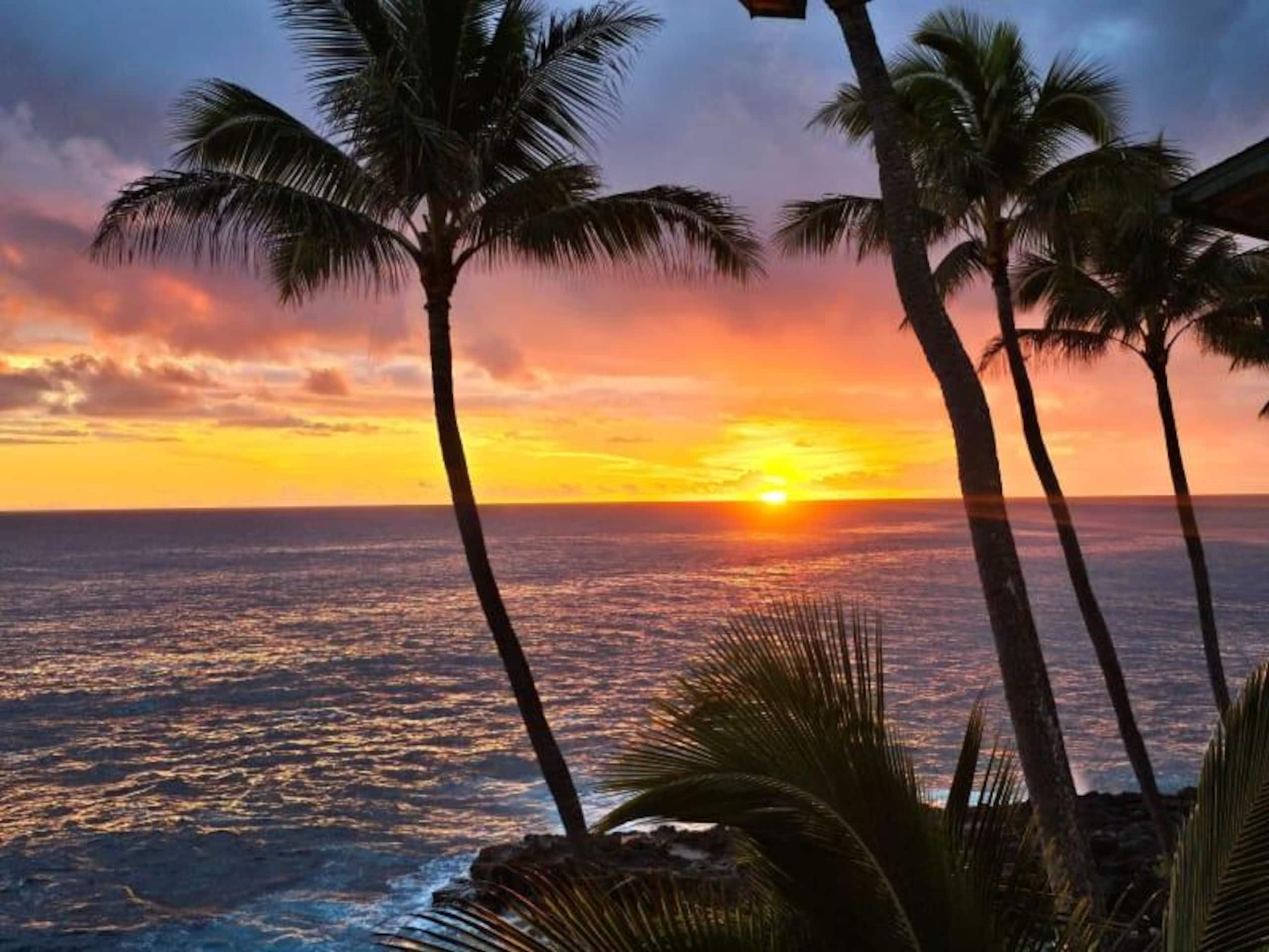 Condo in Koloa · ★5.0 · 3 bedrooms · 4 beds · 2 baths - Image 35