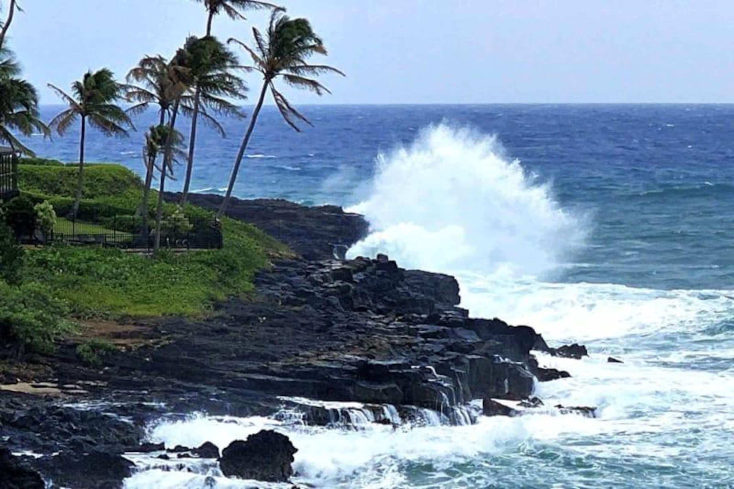 Condo in Koloa · ★5.0 · 3 bedrooms · 4 beds · 2 baths - Image 33
