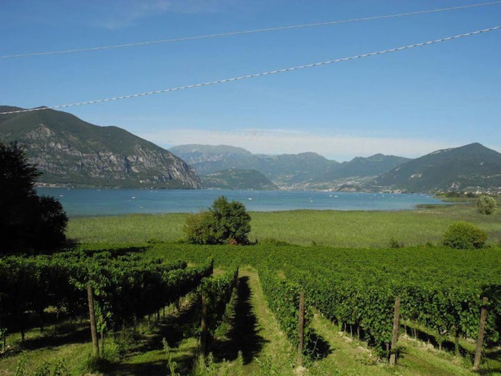 La Casa Del Patio, Calme, Fonctionnelle Entourée D - Iseo