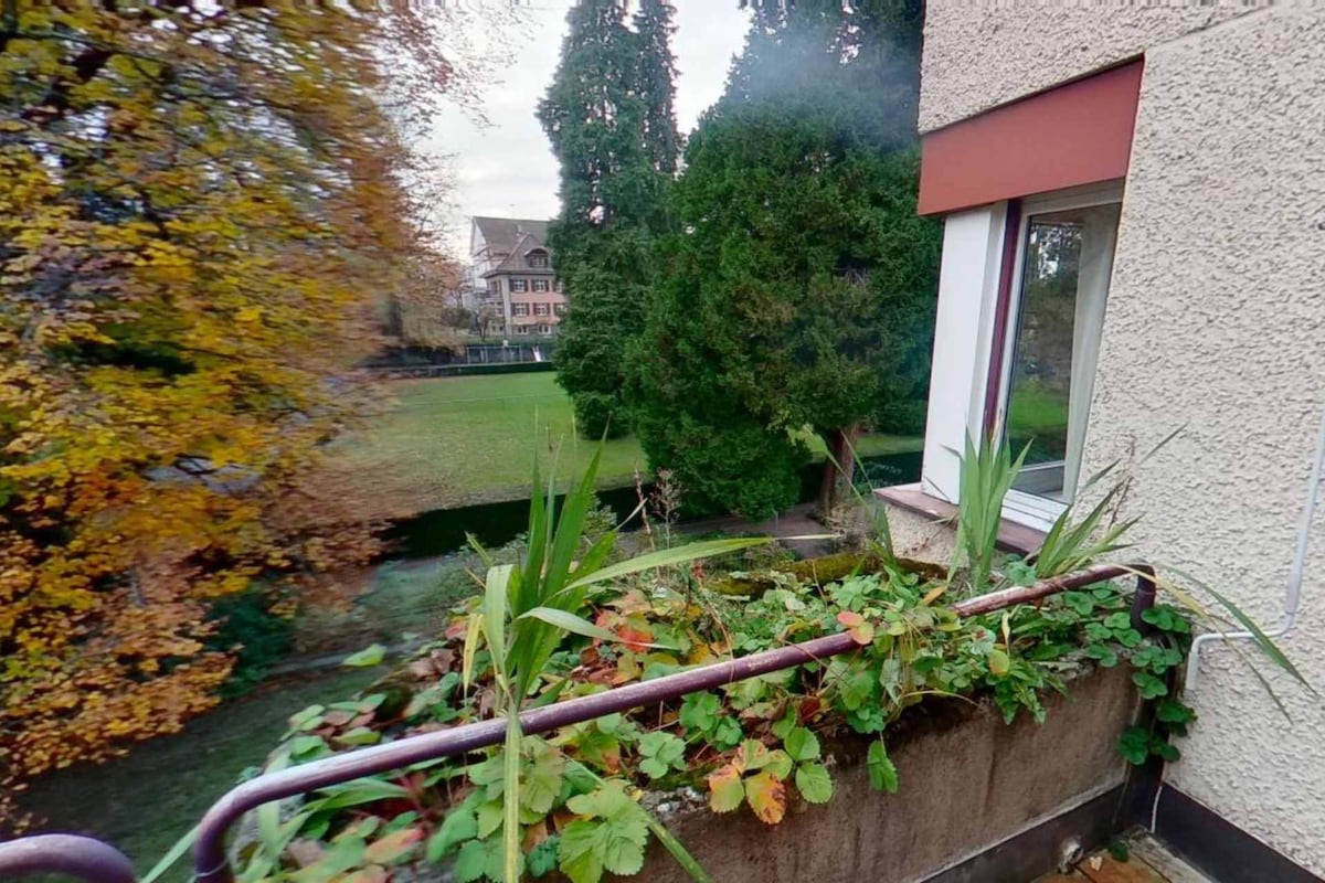 Popular Airbnb listing: Ideal Apartment in Premier Location in Weinegg
