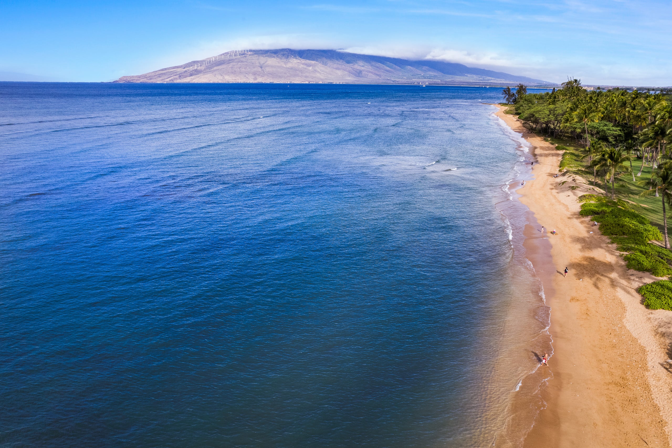 Deluxe Oceanfront Remodeled, Ground Floor WB126 - Image 47