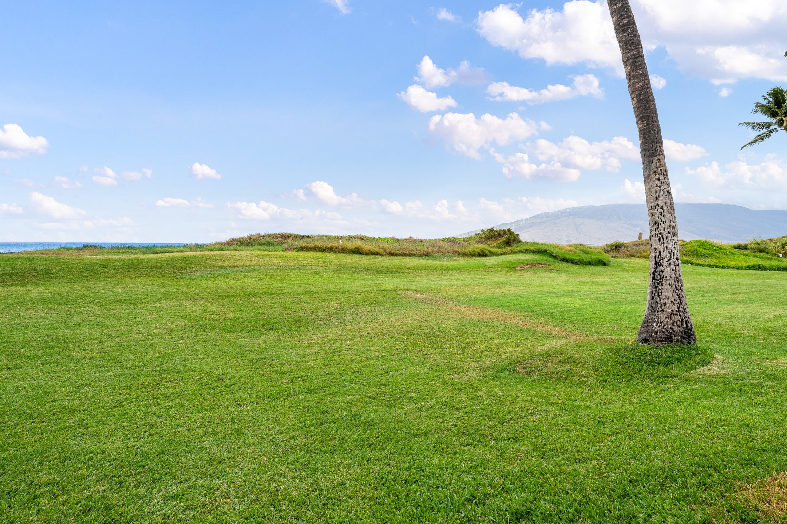 Deluxe Oceanfront Remodeled, Ground Floor WB126 - Image 61