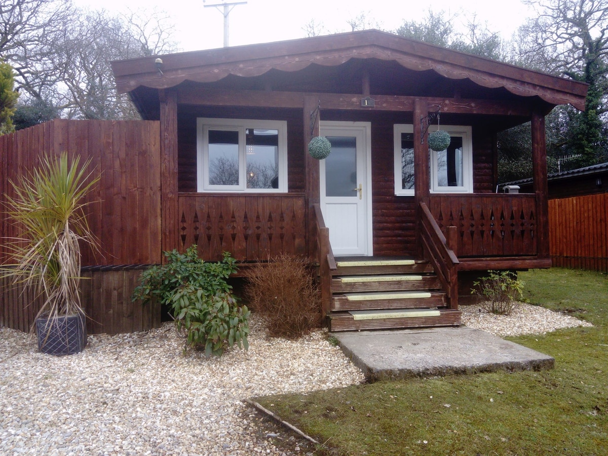 The exterior of the lodge features a wooden structure with a covered porch, flanked by two potted plants. Steps lead up to the entrance, and landscaped gravel borders the cabin, surrounded by greenery. Large windows provide natural light to the cozy interior.