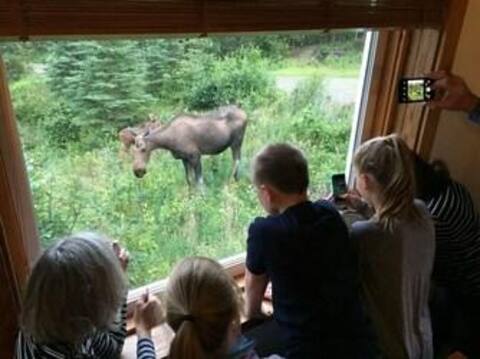 Denali Park View House, 4-Bedroom