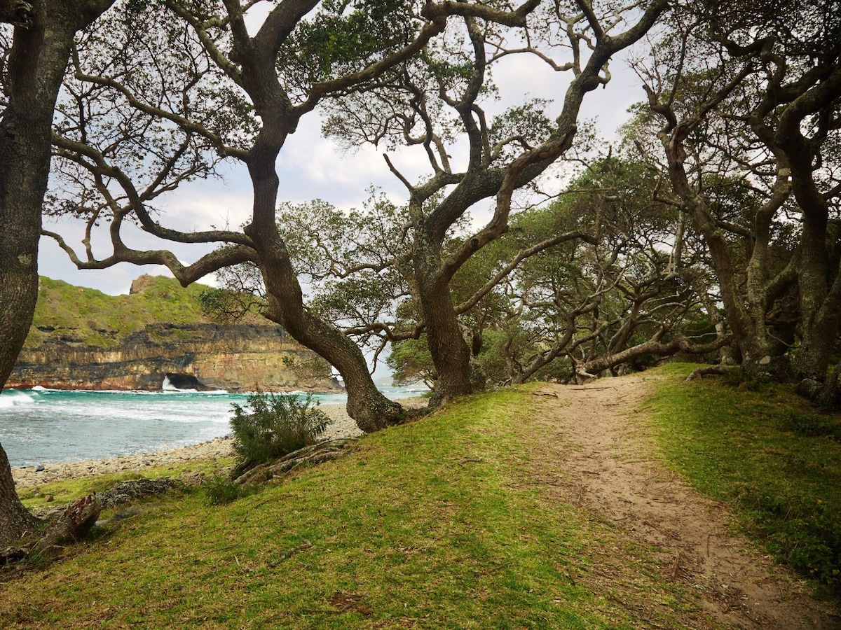A winding path is framed by large trees with thick branches, leading toward the coastline. The grassy area is interspersed with patches of sand, while a distant rocky shoreline meets the waves. The sky is overcast, creating a calm and serene atmosphere.